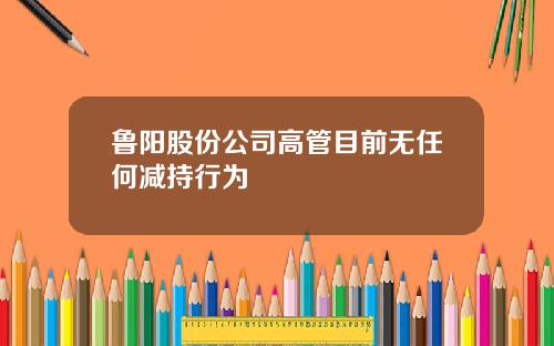 鲁阳股份公司高管目前无任何减持行为