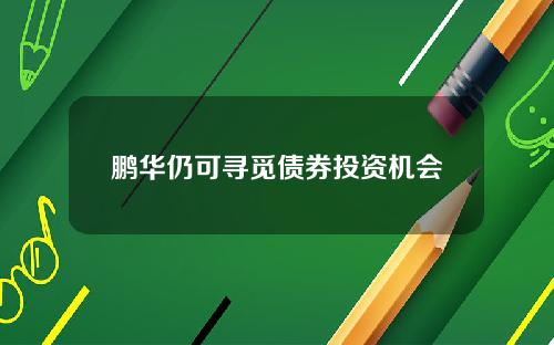 鹏华仍可寻觅债券投资机会