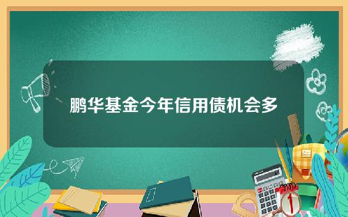 鹏华基金今年信用债机会多