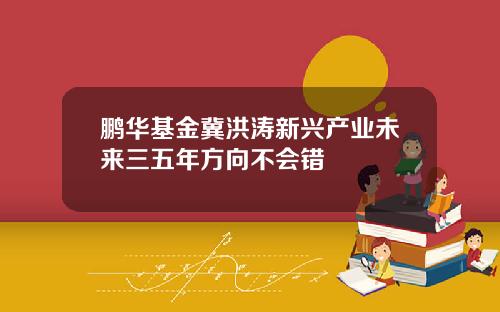 鹏华基金冀洪涛新兴产业未来三五年方向不会错