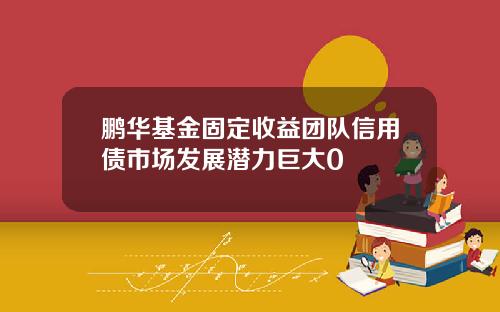 鹏华基金固定收益团队信用债市场发展潜力巨大0