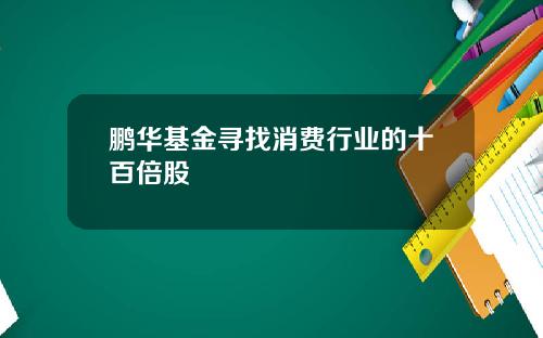 鹏华基金寻找消费行业的十百倍股