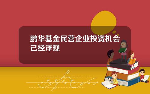 鹏华基金民营企业投资机会已经浮现