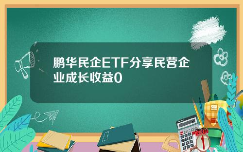 鹏华民企ETF分享民营企业成长收益0