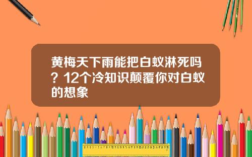 黄梅天下雨能把白蚁淋死吗？12个冷知识颠覆你对白蚁的想象