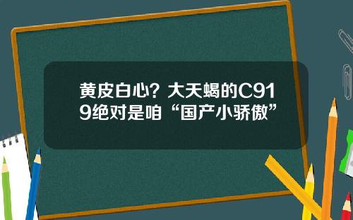 黄皮白心?大天蝎的C919绝对是咱“国产小骄傲”