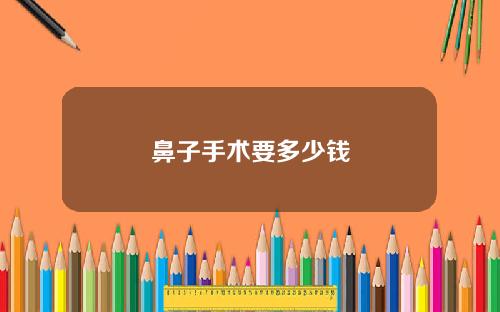 鼻子手术要多少钱