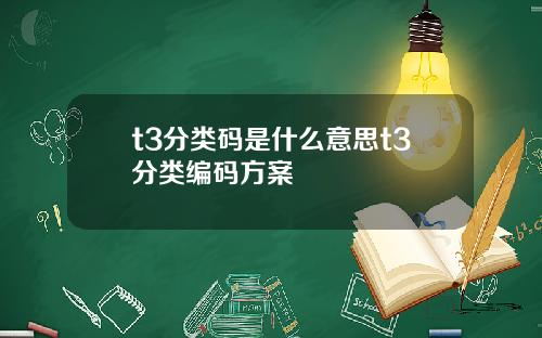 t3分类码是什么意思t3分类编码方案