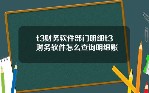 t3财务软件部门明细t3财务软件怎么查询明细账