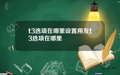 t3选项在哪里设置用友t3选项在哪里