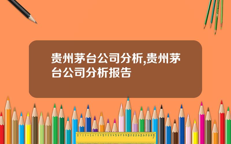 贵州茅台公司分析,贵州茅台公司分析报告