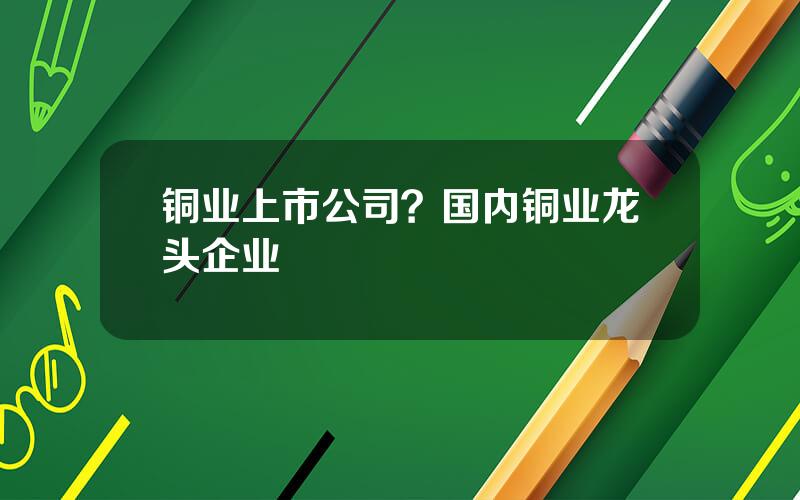铜业上市公司？国内铜业龙头企业