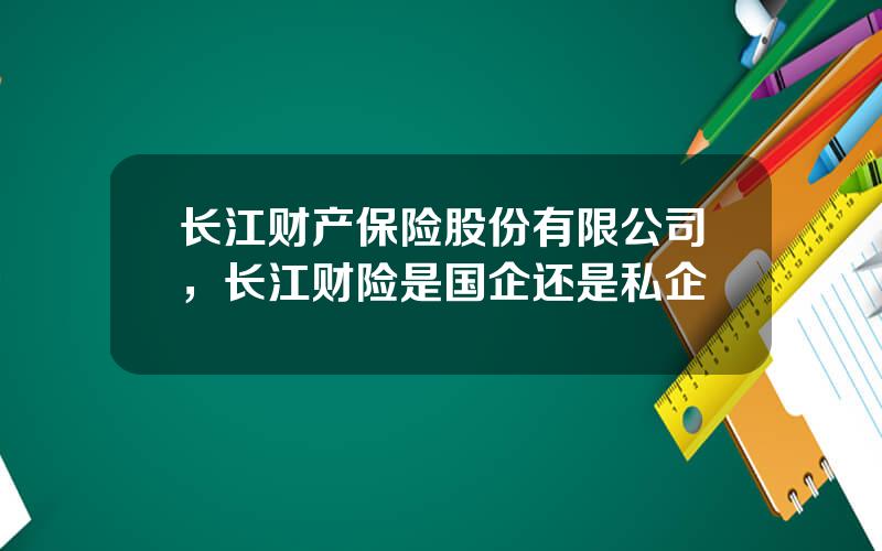 长江财产保险股份有限公司，长江财险是国企还是私企