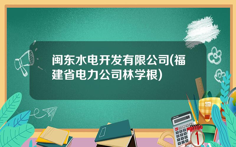 闽东水电开发有限公司(福建省电力公司林学根)