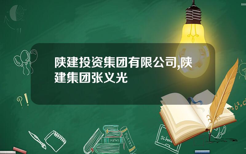 陕建投资集团有限公司,陕建集团张义光