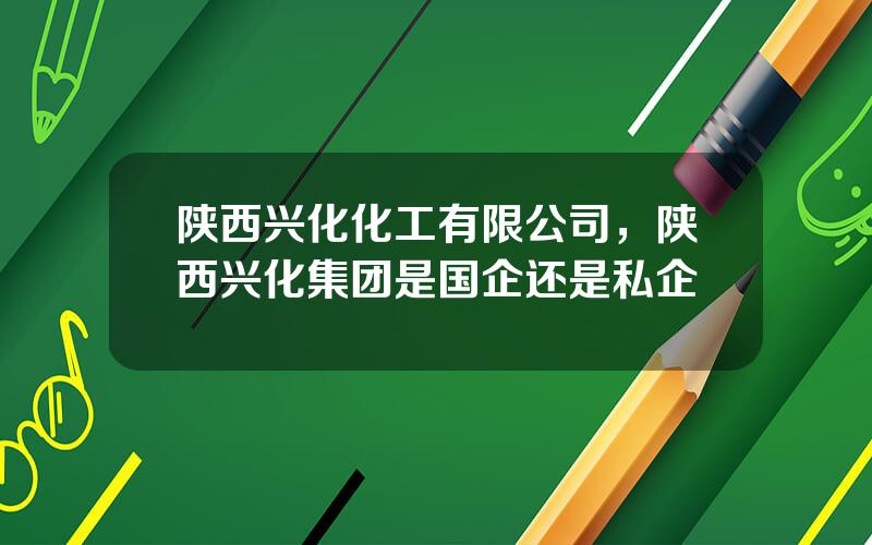 陕西兴化化工有限公司，陕西兴化集团是国企还是私企