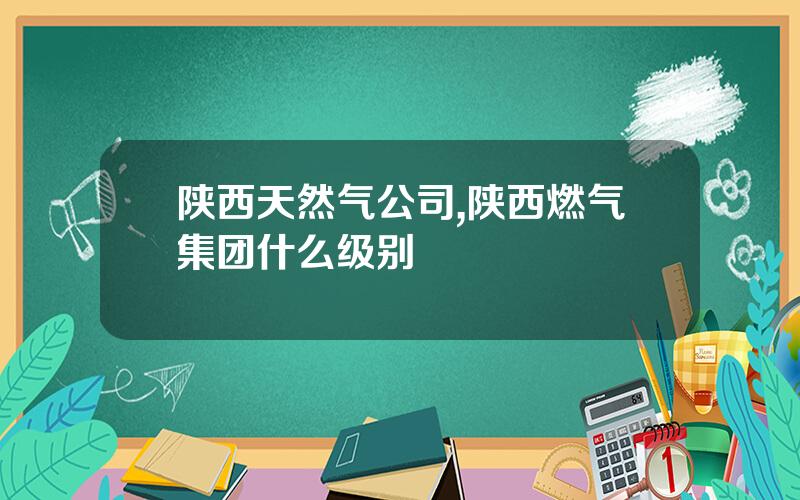 陕西天然气公司,陕西燃气集团什么级别