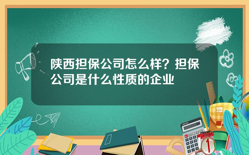 陕西担保公司怎么样？担保公司是什么性质的企业