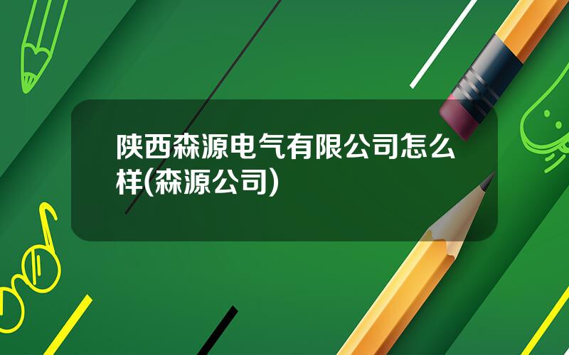 陕西森源电气有限公司怎么样(森源公司)