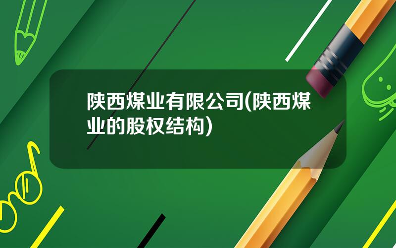 陕西煤业有限公司(陕西煤业的股权结构)