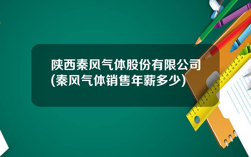 陕西秦风气体股份有限公司(秦风气体销售年薪多少)