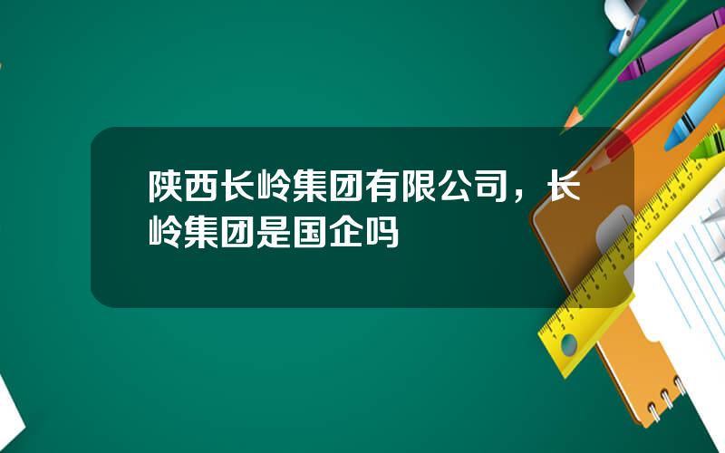陕西长岭集团有限公司，长岭集团是国企吗