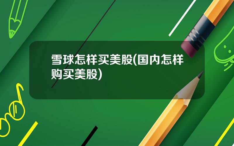 雪球怎样买美股(国内怎样购买美股)