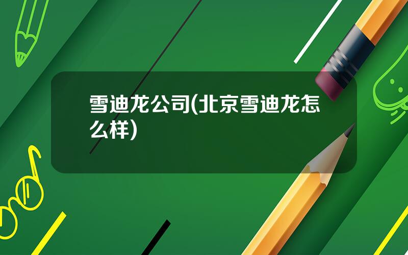 雪迪龙公司(北京雪迪龙怎么样)