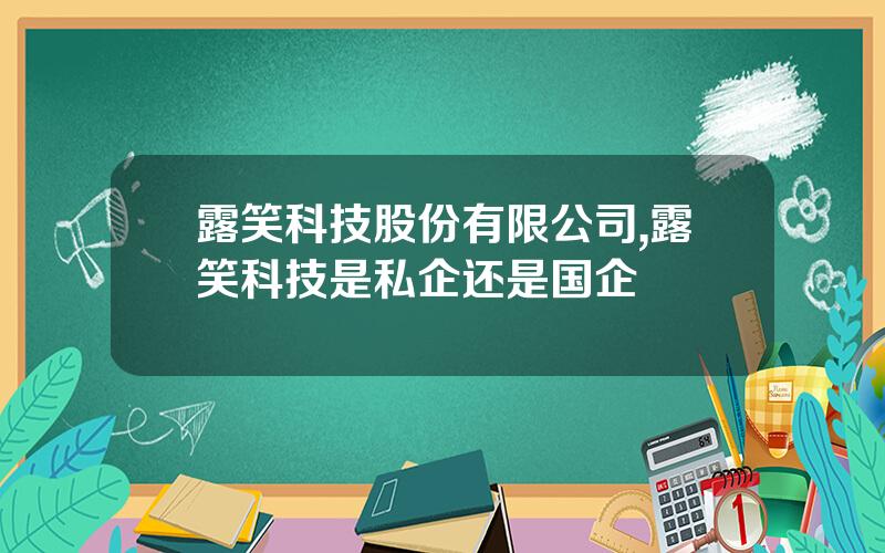 露笑科技股份有限公司,露笑科技是私企还是国企