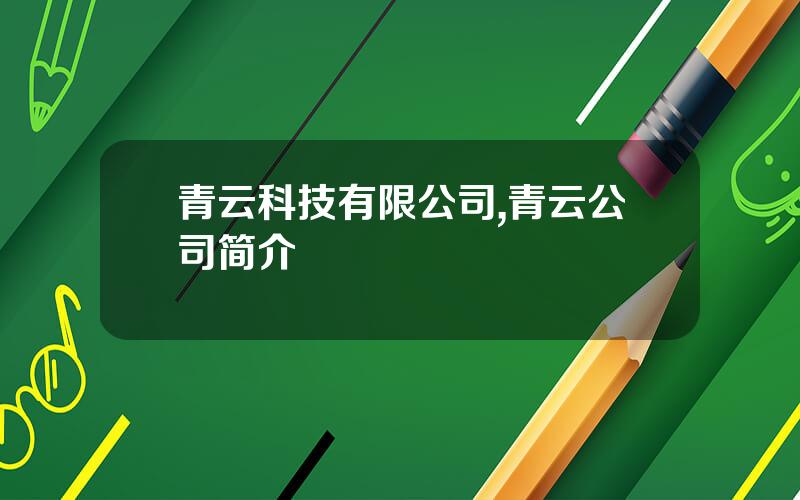 青云科技有限公司,青云公司简介