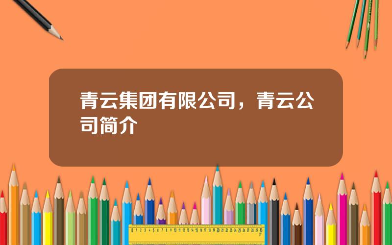 青云集团有限公司，青云公司简介
