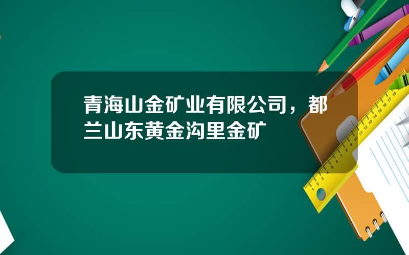 青海山金矿业有限公司，都兰山东黄金沟里金矿