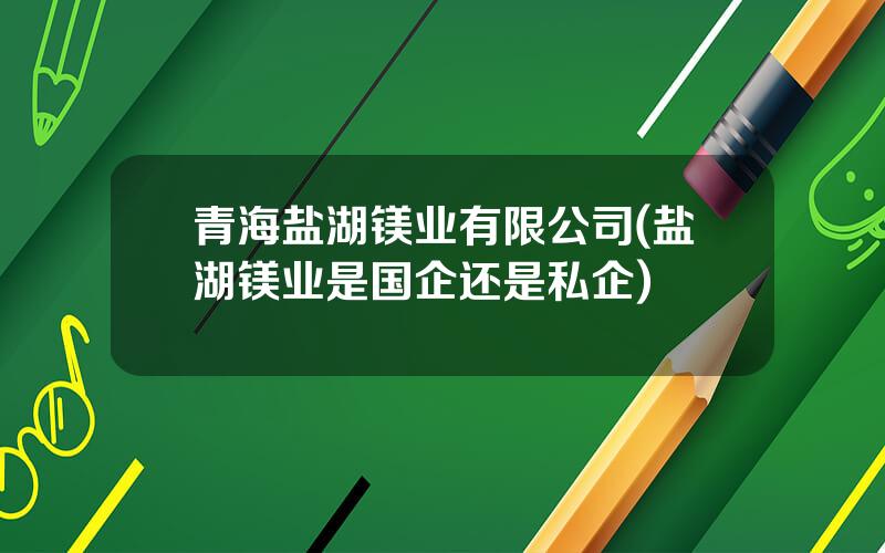 青海盐湖镁业有限公司(盐湖镁业是国企还是私企)