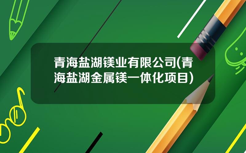 青海盐湖镁业有限公司(青海盐湖金属镁一体化项目)