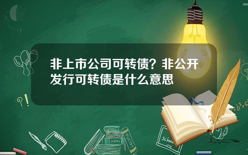 非上市公司可转债？非公开发行可转债是什么意思