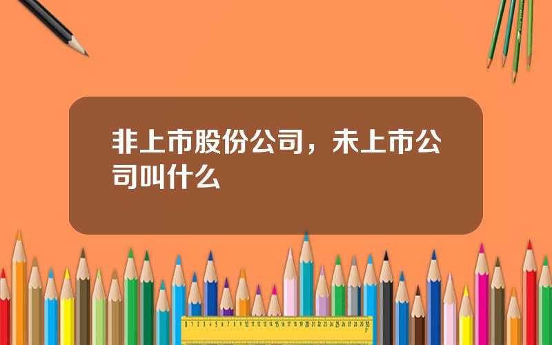 非上市股份公司，未上市公司叫什么