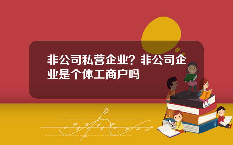 非公司私营企业？非公司企业是个体工商户吗