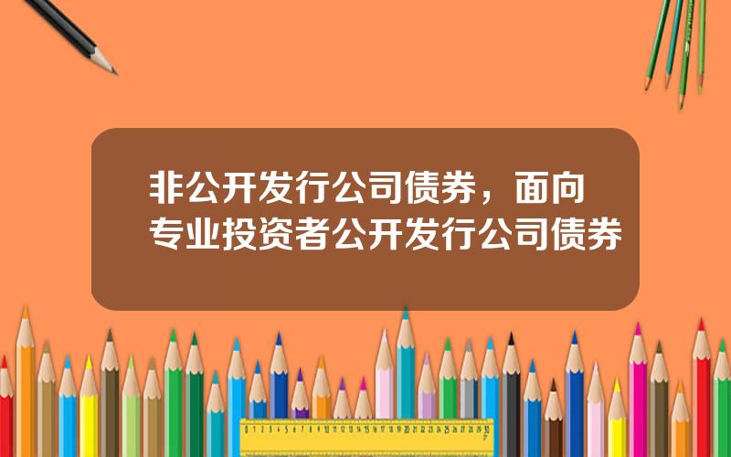 非公开发行公司债券，面向专业投资者公开发行公司债券