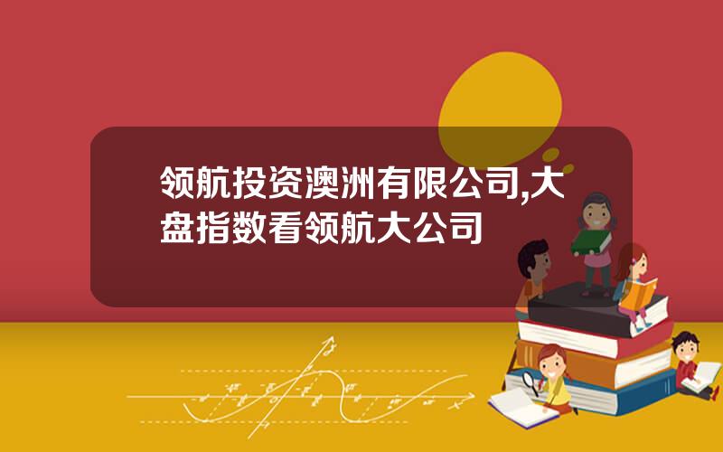 领航投资澳洲有限公司,大盘指数看领航大公司