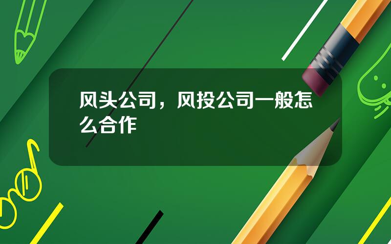 风头公司，风投公司一般怎么合作