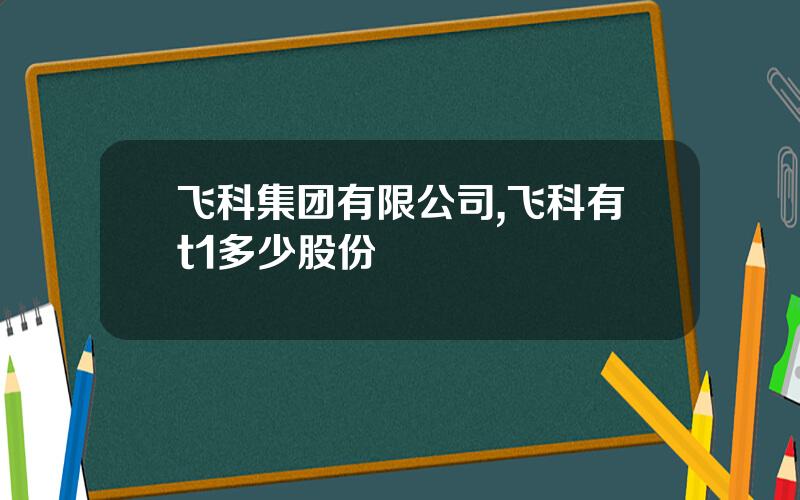 飞科集团有限公司,飞科有t1多少股份