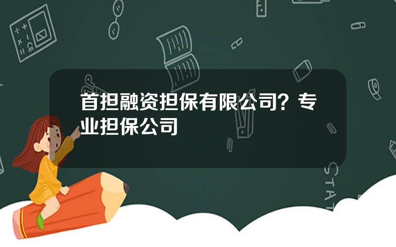 首担融资担保有限公司？专业担保公司