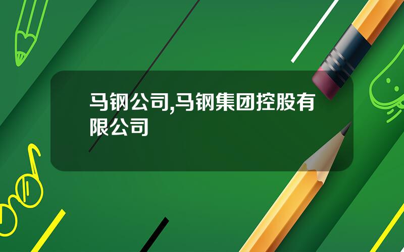 马钢公司,马钢集团控股有限公司