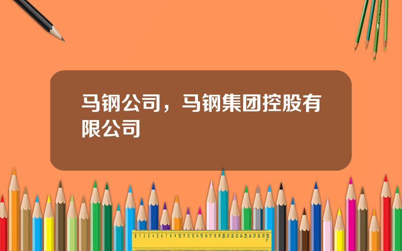 马钢公司，马钢集团控股有限公司