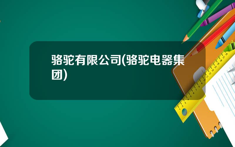 骆驼有限公司(骆驼电器集团)