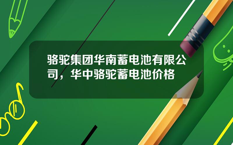 骆驼集团华南蓄电池有限公司，华中骆驼蓄电池价格
