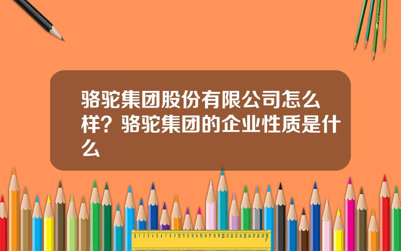 骆驼集团股份有限公司怎么样？骆驼集团的企业性质是什么