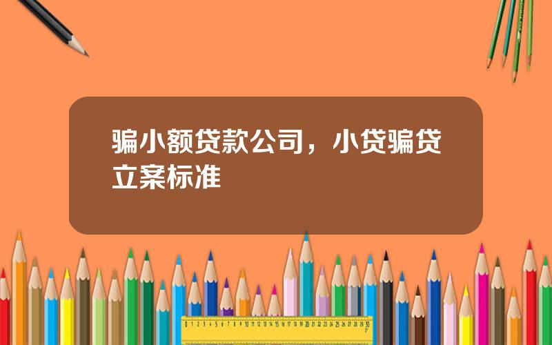 骗小额贷款公司，小贷骗贷立案标准