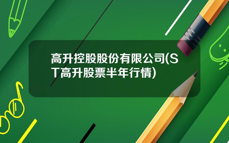 高升控股股份有限公司(ST高升股票半年行情)
