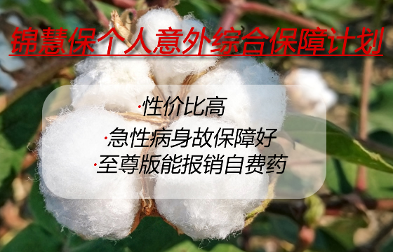锦慧保个人意外综合保障计划有坑吗-一年多少钱-怎么买-